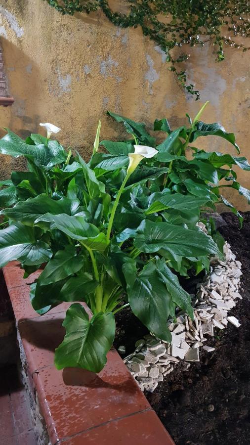 Ferienwohnung Il Giardino Sul Corso Scafati Exterior foto
