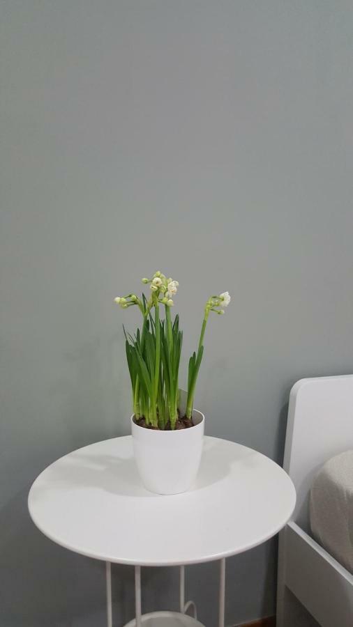 Ferienwohnung Il Giardino Sul Corso Scafati Exterior foto